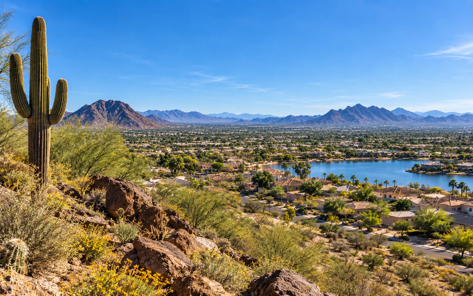 View over a Peoria, Arizona neighborhood with a community lake, red-tile-roof homes, palm trees, and desert mountains, with a saguaro cactus in the foreground