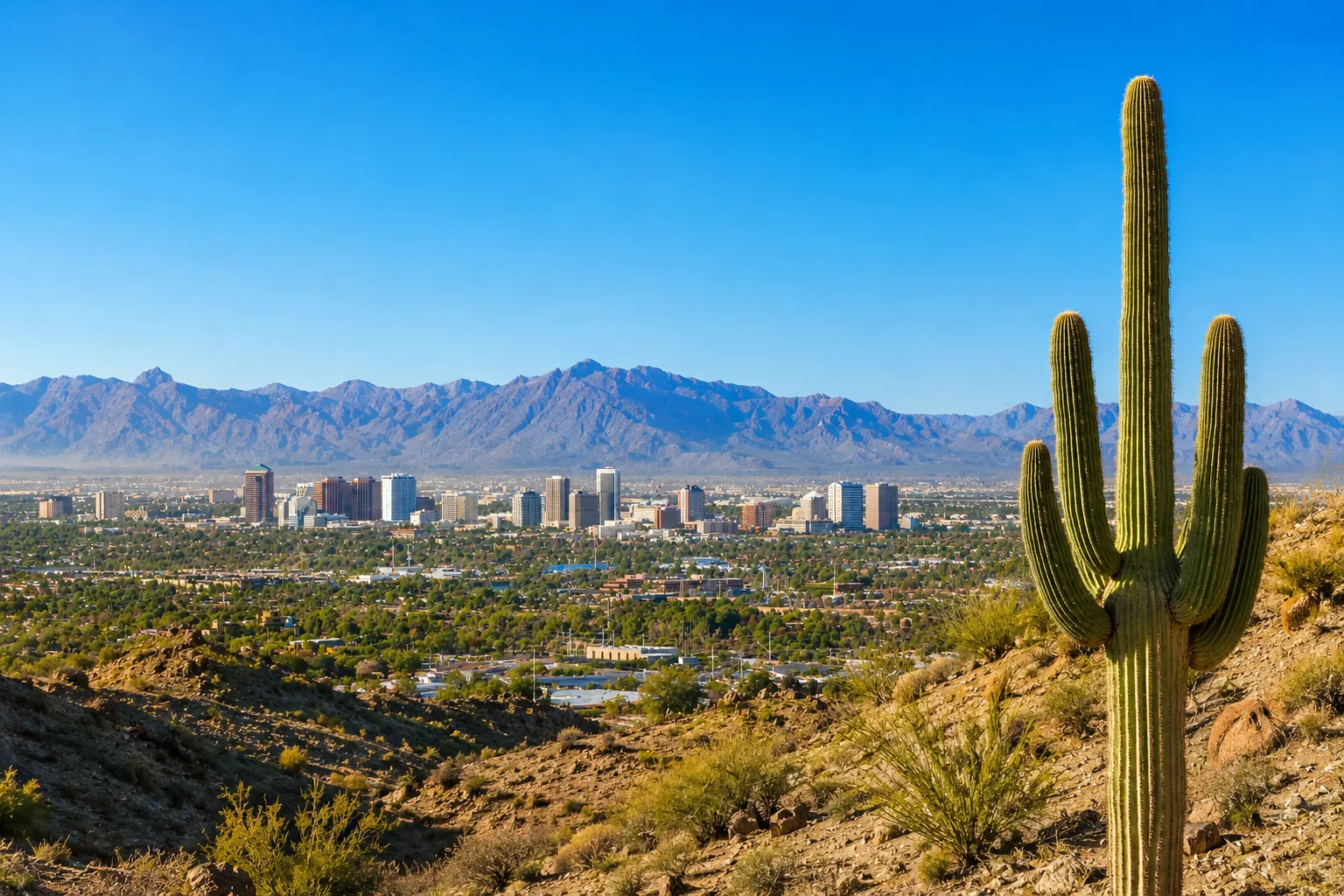 The Phoenix skyline seen from the desert foothills, with a saguaro in the foreground and the mountains behind